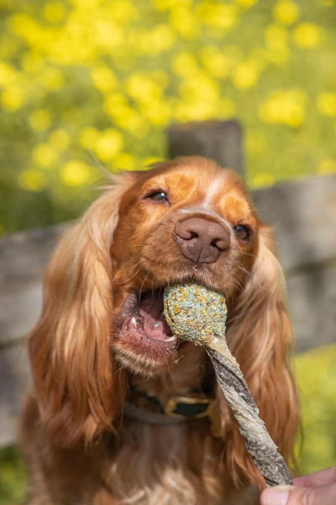 Cooka’s Cookies – Crunchy Lollipop – Menkės odos skanėstas su kalakutiena - Image 3