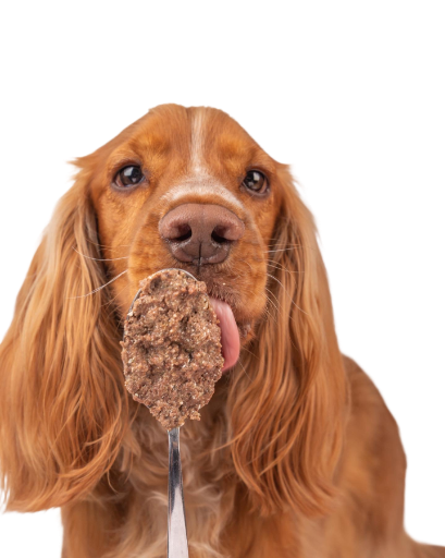 Cooka’s Cookies - Real Beef - jautienos konservai su morkomis ir špinatais - Image 2