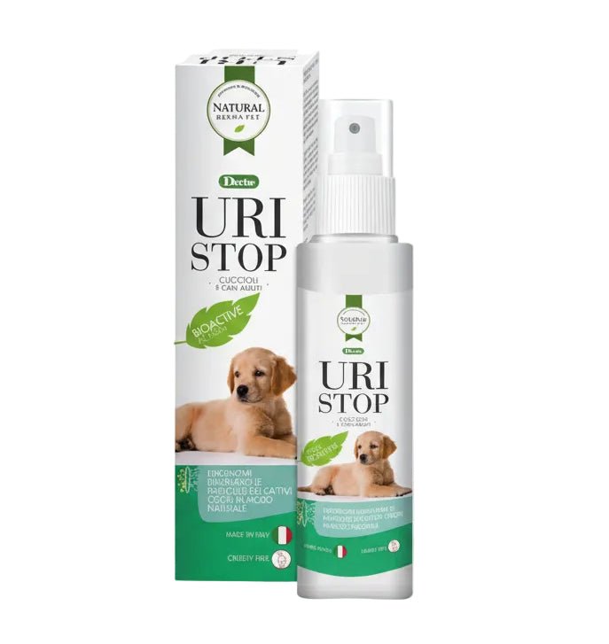 Natural Derma Pet bioaktyvus šunų šlapimo kvapo neutralizatorius